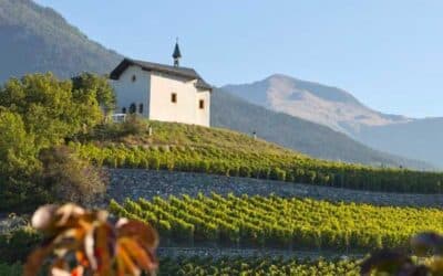Weindegustation und Raclette im Wallis