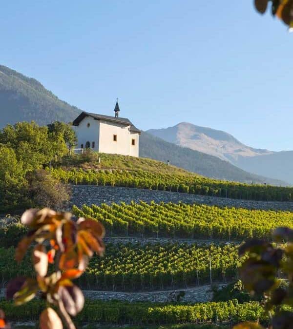 Weindegustation und Raclette im Wallis