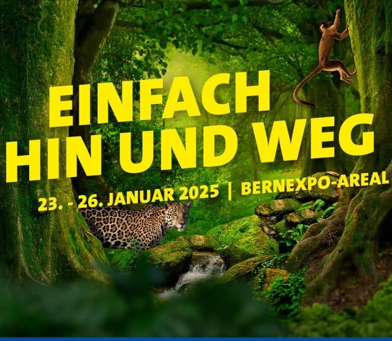 Besucht uns an der Ferienmesse in Bern! 🚌✨